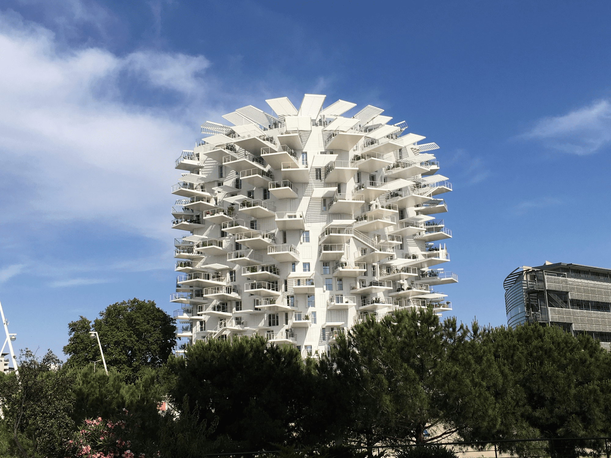 Entreprendre sans s’épuiser 8 - Les indiscretions Arbre Blanc Montpellier