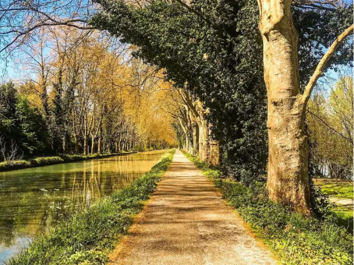 canal latéral à la Garonne