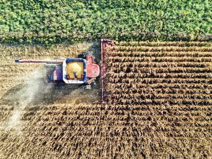 Souveraineté alimentaire : à Carcassonne, l'Occitanie se fixe des objectifs de production à l'horizon 2035 2 - Les indiscretions souveraineté alimentaire